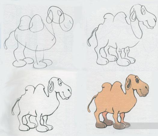 Как рисовать Верблюда поэтапно