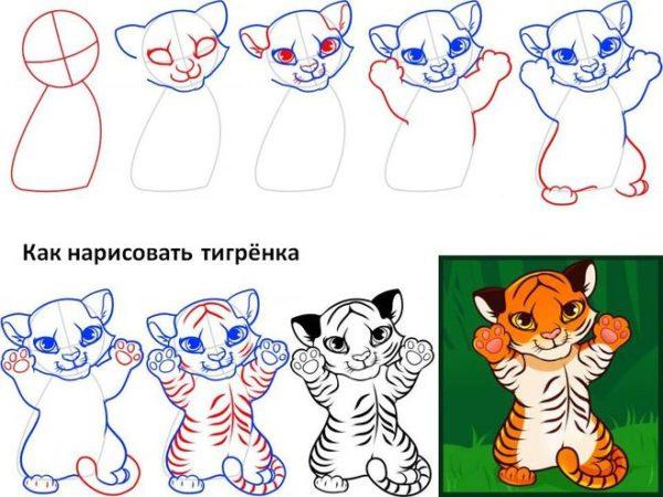 Как рисовать Тигра поэтапно