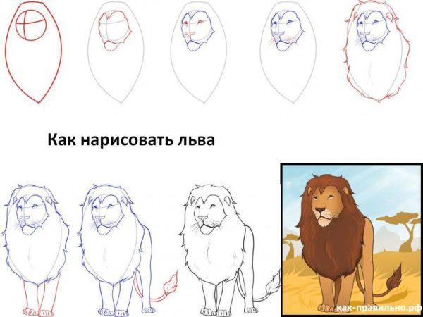 Как рисовать Льва поэтапно