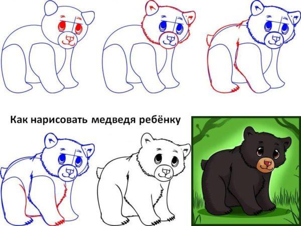 Как рисовать Медведя поэтапно