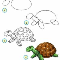 Как рисовать Черепаху поэтапно — рисуем с детьми по шагам