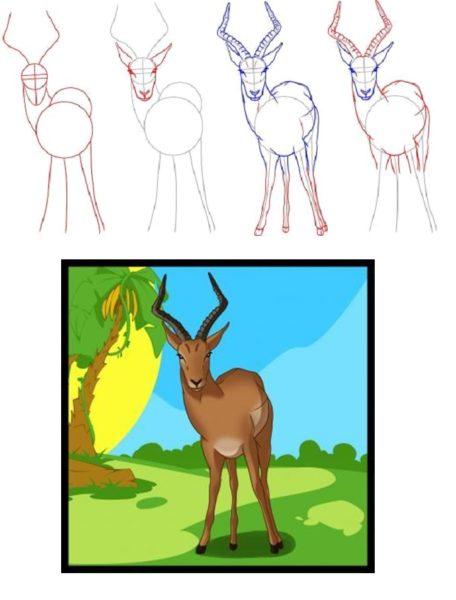 Рисунки Антилопы поэтапно
