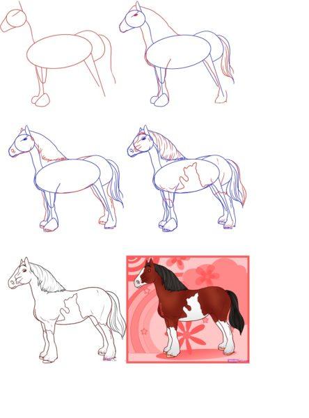 Рисунки Лошади (коня) поэтапно
