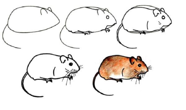 Рисунки Мышки поэтапно