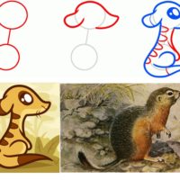 Как рисовать Суслика поэтапно — рисуем с детьми по шагам