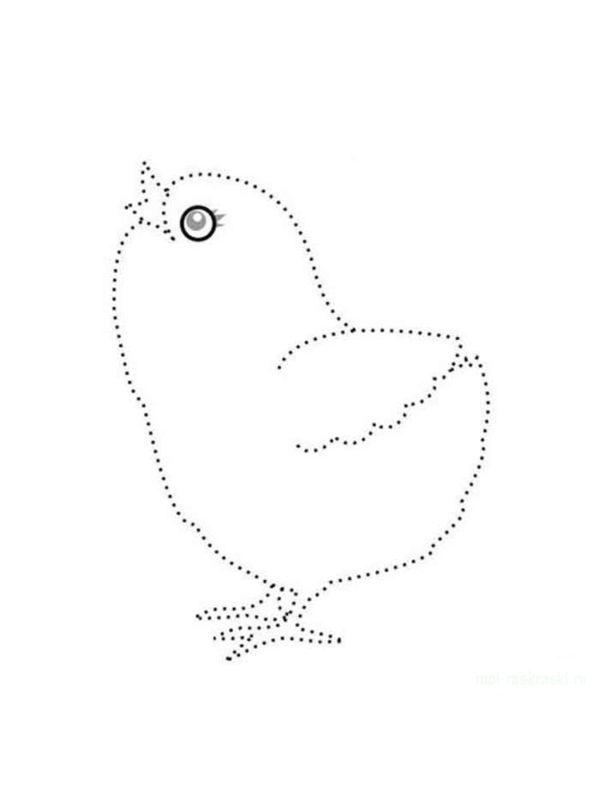 Рисунки по точкам Птицы