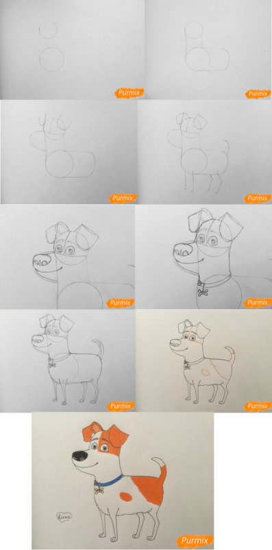 Рисунки для срисовки Тайная жизнь домашних животных поэтапно