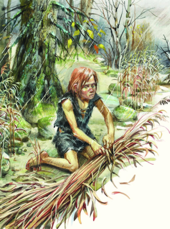 Приключения доисторического мальчика (Эрнст д'Эрвильи) - Кратко содержание для читательского дневника