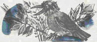 Сказка Сказочка про Воронушку - чёрную головушку и жёлтую птичку Канарейку читать онлайн полностью, Мамин-Сибиряк