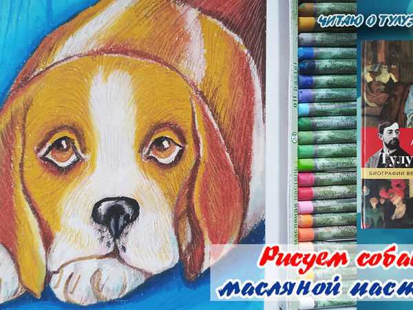 Мастер-класс: Рисуем собаку бигль масляной пастелью