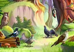 Рассказ "Джунгли" - птичий рай читать онлайн полностью, Чарушин Е. И. для детей